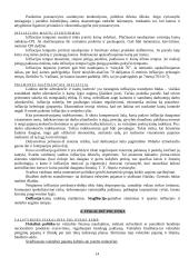 Išsami teorija - makroekonomika 14 puslapis