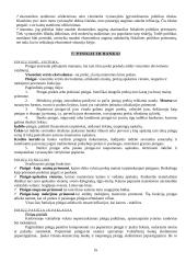 Išsami teorija - makroekonomika 16 puslapis