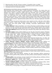 Išsami teorija - makroekonomika 3 puslapis