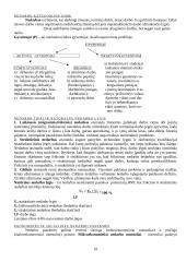 Išsami teorija - makroekonomika 10 puslapis