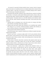 Bendroji informacija apie makroekonomiką 10 puslapis