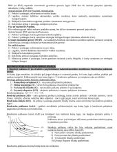 Išsamus makroekonomikos egzamino pasiruošimas 12 puslapis