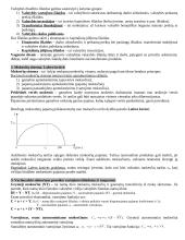 Išsamus makroekonomikos egzamino pasiruošimas 17 puslapis