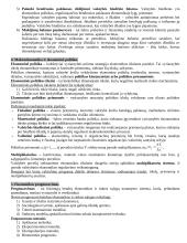 Išsamus makroekonomikos egzamino pasiruošimas 3 puslapis