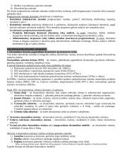 Išsamus makroekonomikos egzamino pasiruošimas 4 puslapis