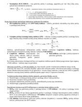 Išsamus makroekonomikos egzamino pasiruošimas 6 puslapis