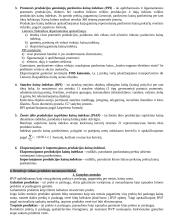 Išsamus makroekonomikos egzamino pasiruošimas 7 puslapis