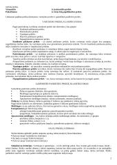 Prekės samprata 2 puslapis