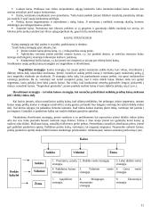 Prekės samprata 11 puslapis