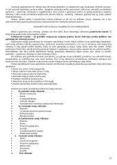 Prekės samprata 13 puslapis