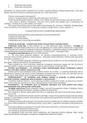 Prekės samprata 14 puslapis