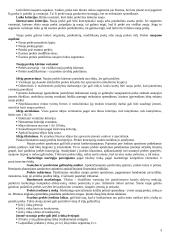 Prekės samprata 3 puslapis