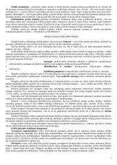 Prekės samprata 7 puslapis