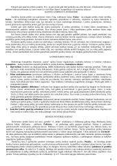 Prekės samprata 8 puslapis