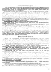 Prekės samprata 10 puslapis