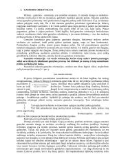 Gamybos orientacija