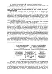 Gamybos orientacija 4 puslapis