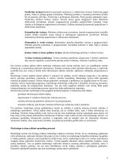 Marketingo tyrimai 2 puslapis