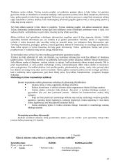 Marketingo tyrimai 13 puslapis