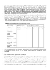 Marketingo tyrimai 4 puslapis