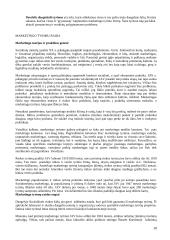 Marketingo tyrimai 10 puslapis