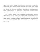 Meilės samprata 12 puslapis