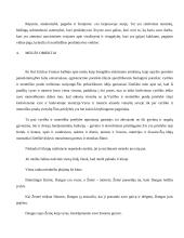 Meilės samprata 6 puslapis