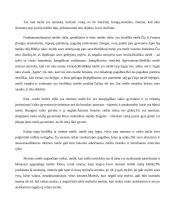 Meilės samprata 8 puslapis