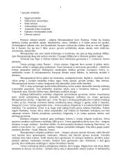 Priešistorės menas 2 puslapis