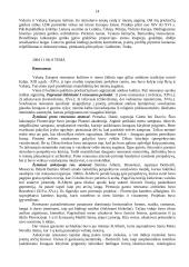 Priešistorės menas 14 puslapis