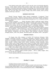 Priešistorės menas 19 puslapis