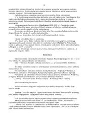 Priešistorės menas 20 puslapis