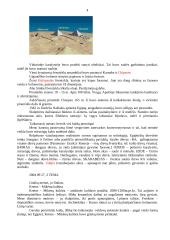 Priešistorės menas 4 puslapis