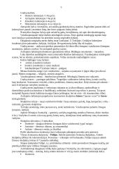 Priešistorės menas 5 puslapis