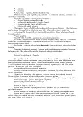 Priešistorės menas 6 puslapis