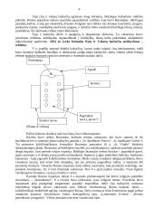 Priešistorės menas 9 puslapis