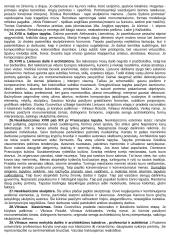 Meno istorija XIV-XIX amžiuje 6 puslapis