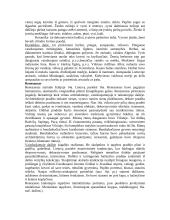 Meno stiliai Lietuvoje 16-18 amžiuje 2 puslapis