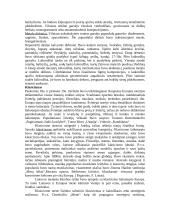 Meno stiliai Lietuvoje 16-18 amžiuje 5 puslapis