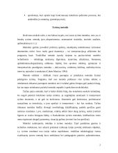 Metodologija 2 puslapis