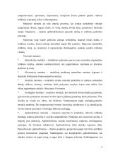 Metodologija 4 puslapis