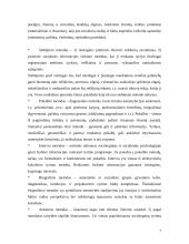 Metodologija 7 puslapis