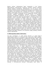 Mikrobiologijos išsami teorija egzaminui 5 puslapis