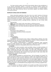 Darbo rinka ekonomikoje 2 puslapis