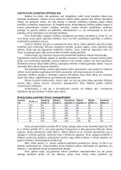 Darbo rinka ekonomikoje 4 puslapis