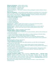 Mikroekonomikos kurso temos ir santrauka 6 puslapis