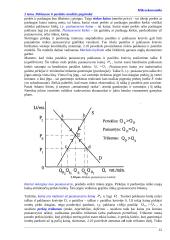 Pagrindinės mikroekonomikos sąvokos 12 puslapis