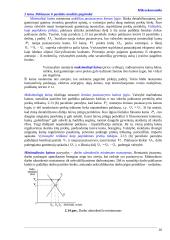 Pagrindinės mikroekonomikos sąvokos 16 puslapis