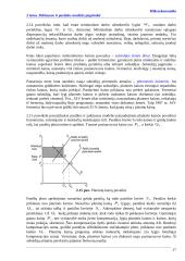 Pagrindinės mikroekonomikos sąvokos 17 puslapis