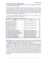 Pagrindinės mikroekonomikos sąvokos 5 puslapis